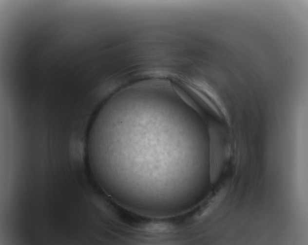 X0000089680063200706281405