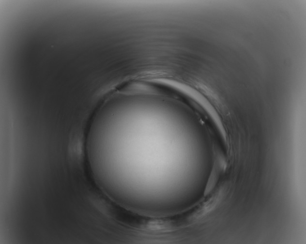 X0000089680064200706281405