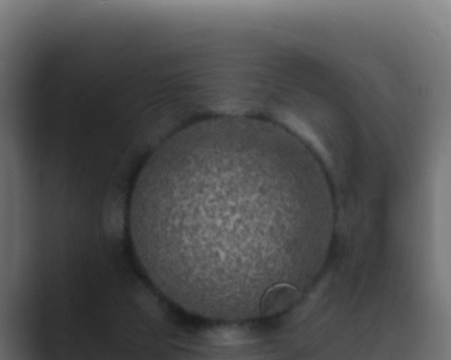 X0000089680065200706281405