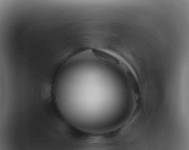 X0000089680066200706281405