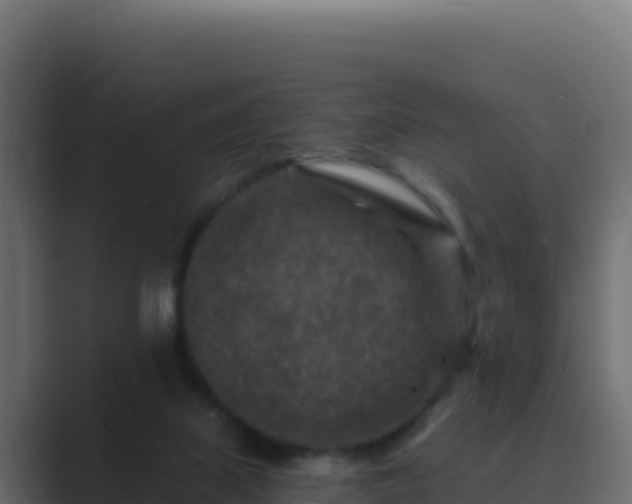 X0000089680067200706281405