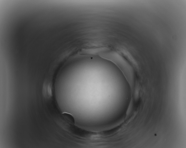 X0000089680068200706281405