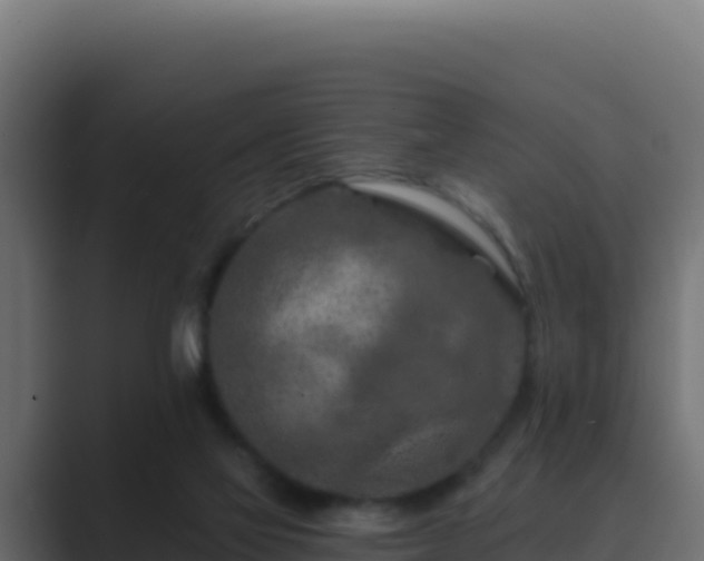 X0000089680069200706281405