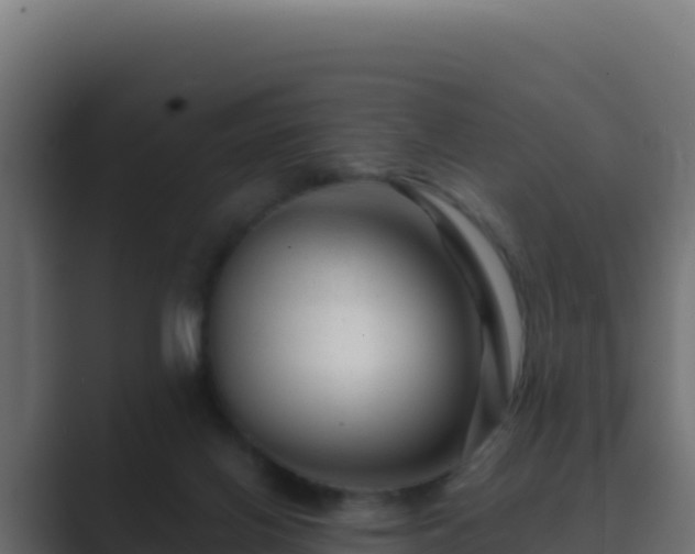 X0000089680070200706281405