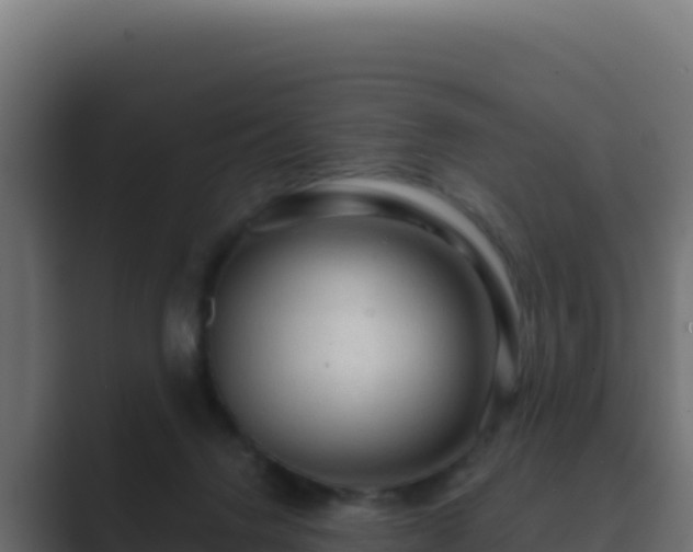 X0000089680072200706281405