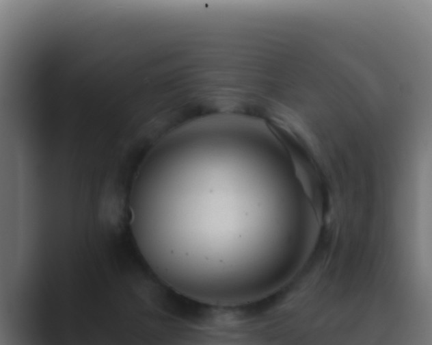 X0000089680073200706281405