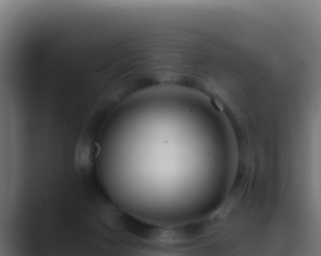 X0000089680074200706281405