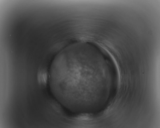 X0000089680076200706281405