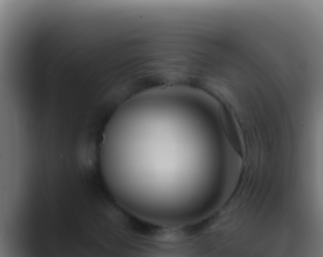 X0000089680077200706281405