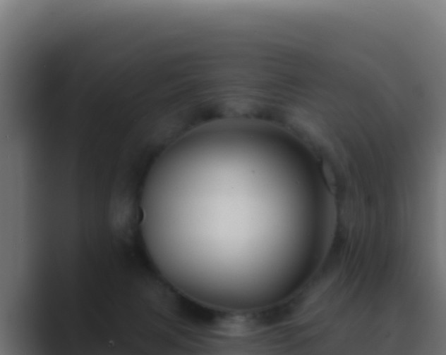 X0000089680079200706281405