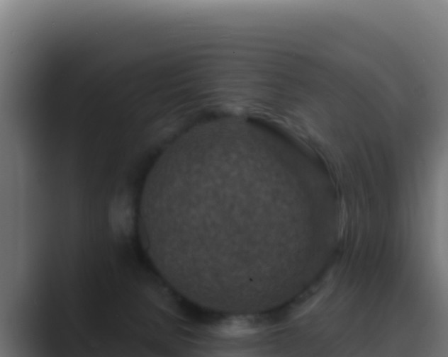 X0000089680080200706281405