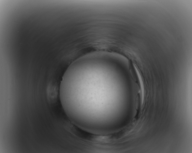 X0000089680081200706281405