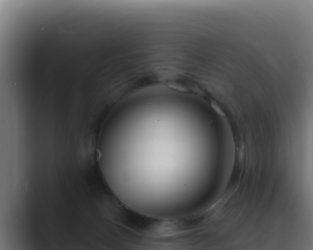 X0000089680082200706281405
