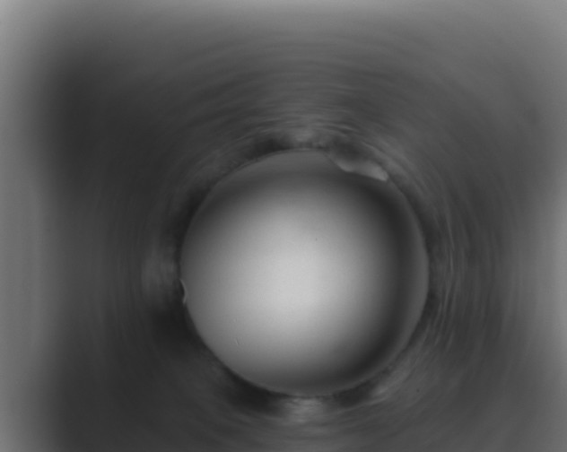 X0000089680085200706281405