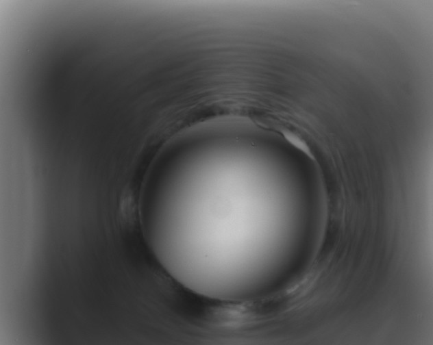 X0000089680086200706281405
