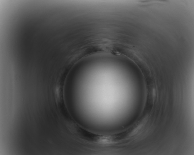 X0000089680088200706281405