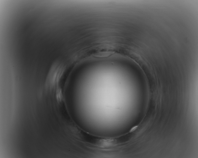 X0000089680089200706281405
