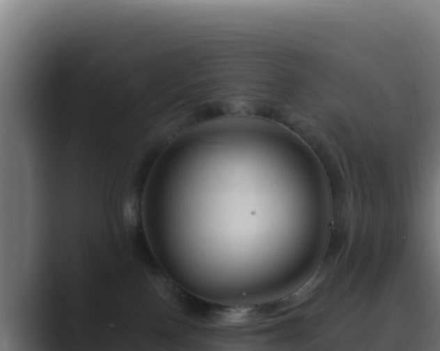X0000089680090200706281405