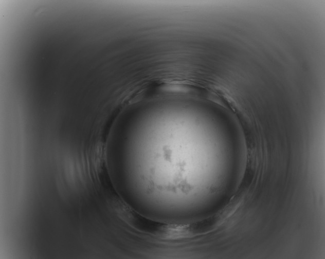 X0000089680093200706281405