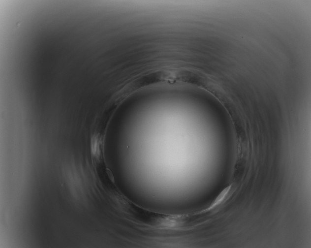X0000089680094200706281405