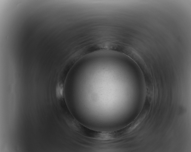 X0000089680095200706281405
