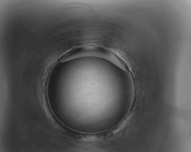 X0000089680097200706281405