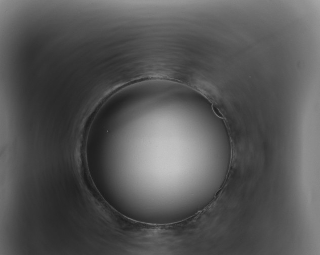 X0000089680098200706281405