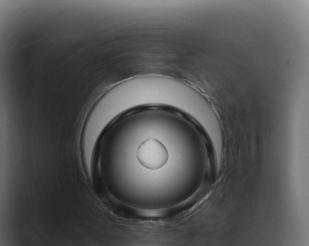 X0000089680099200706281405