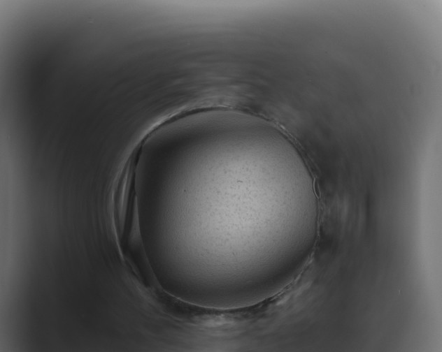 X0000089680100200706281405