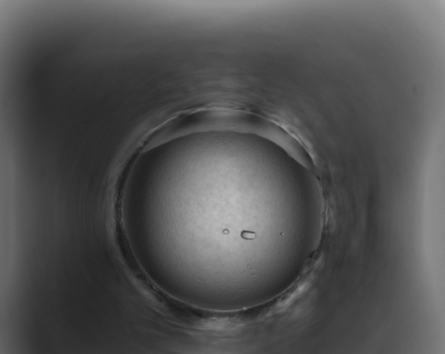 X0000089680101200706281405