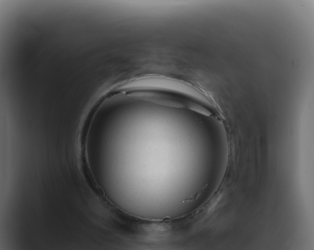 X0000089680102200706281405