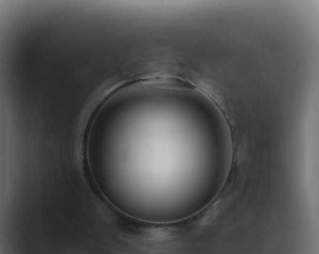 X0000089680103200706281405