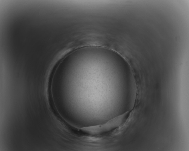 X0000089680104200706281405