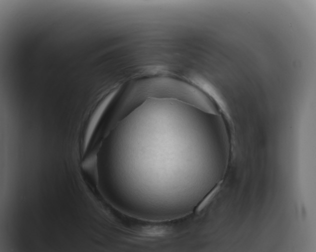 X0000089680105200706281405