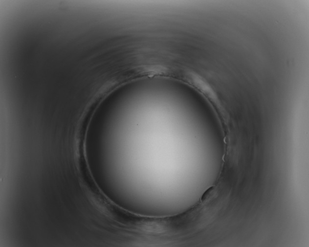 X0000089680106200706281405