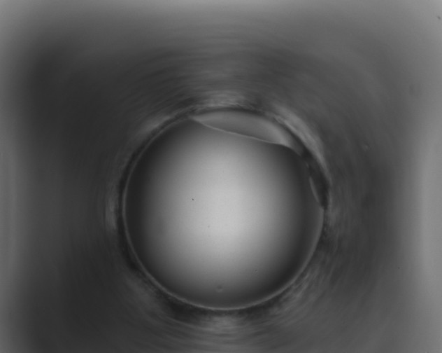 X0000089680107200706281405