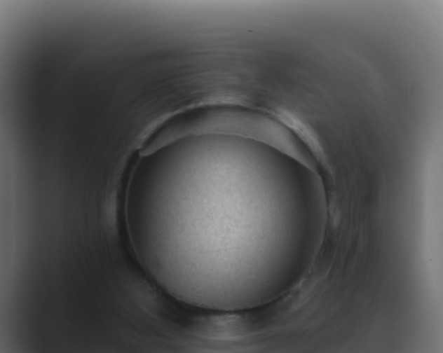 X0000089680108200706281405