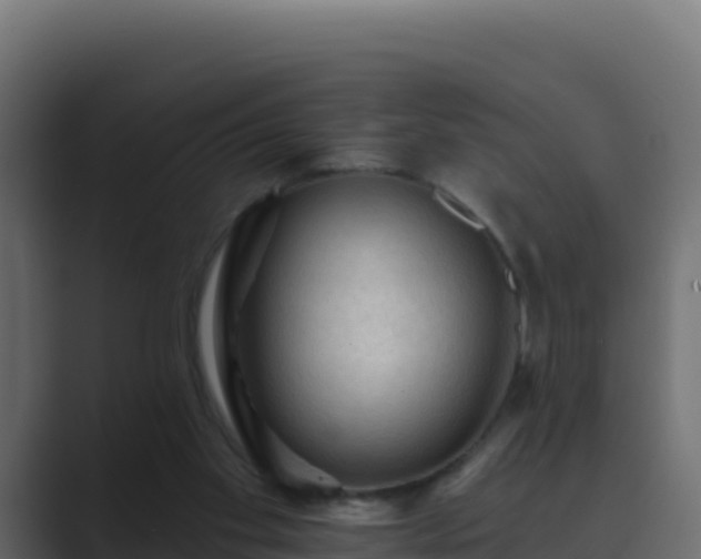 X0000089680109200706281405