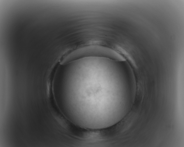 X0000089680110200706281405