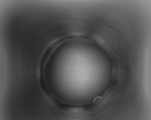 X0000089680112200706281405