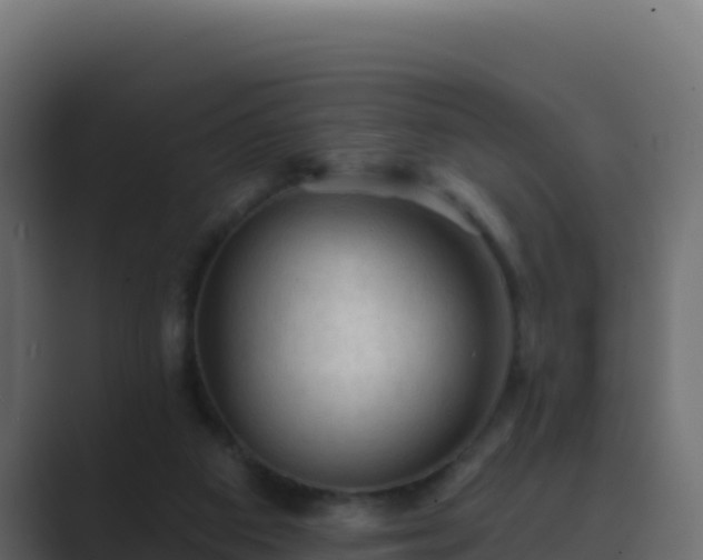 X0000089680113200706281405