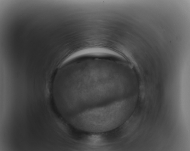 X0000089680114200706281405