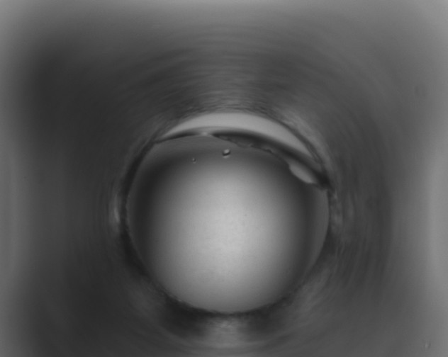 X0000089680115200706281405