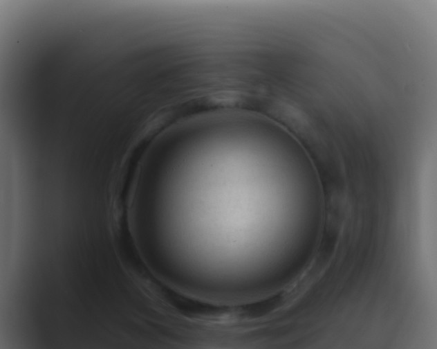 X0000089680116200706281405