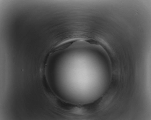 X0000089680119200706281405