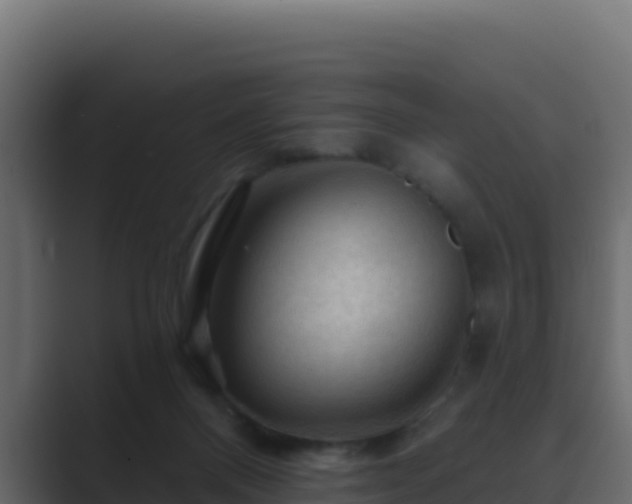 X0000089680120200706281405