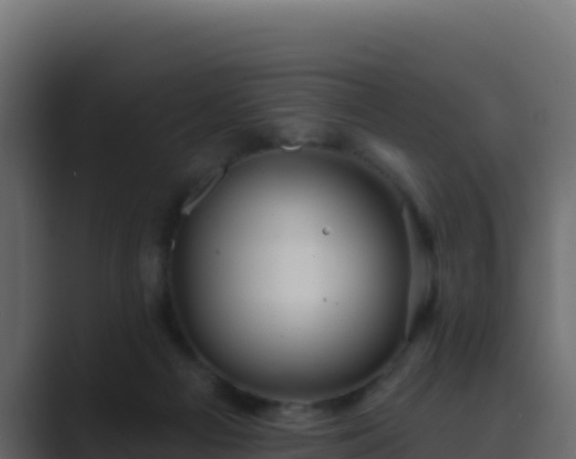 X0000089680121200706281405