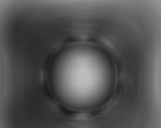 X0000089680122200706281405