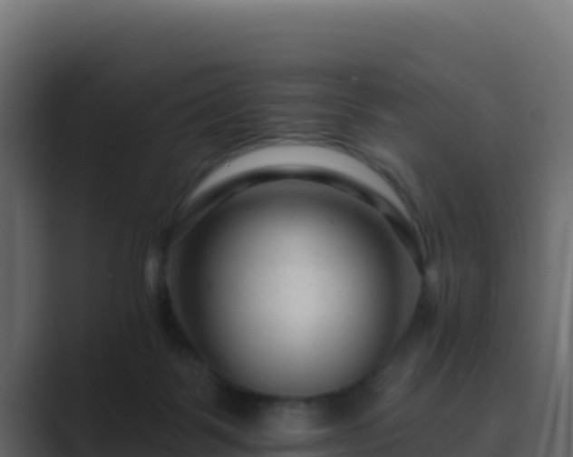 X0000089680123200706281405