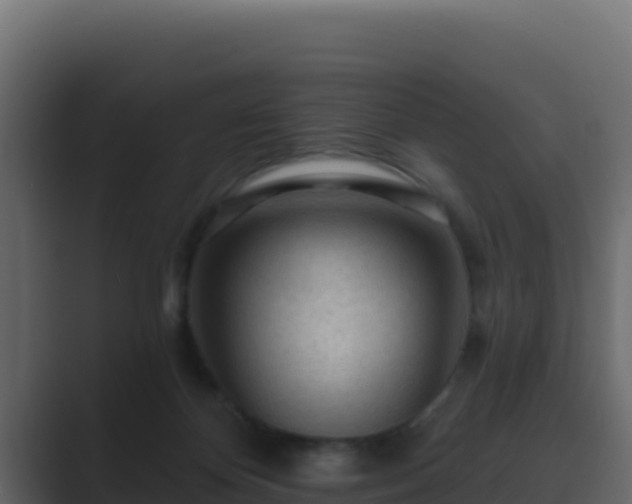 X0000089680124200706281405